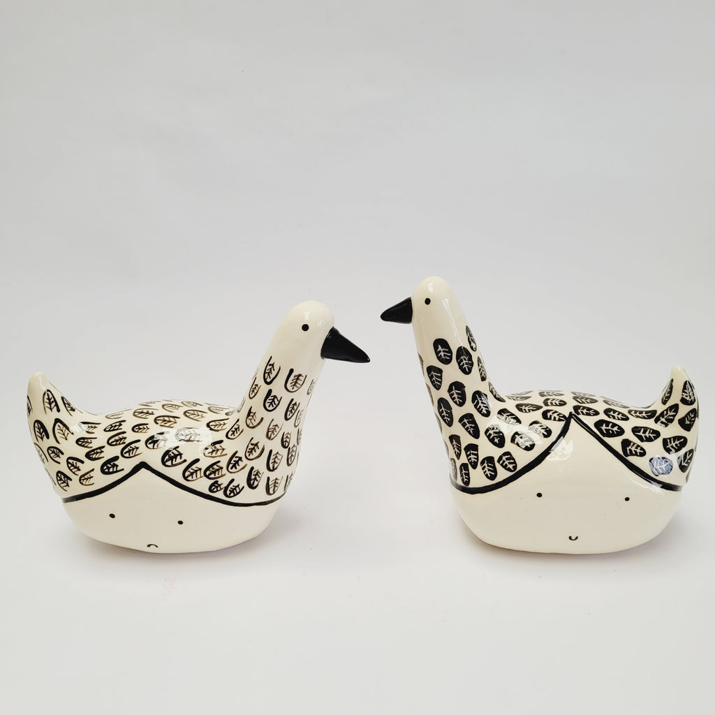 Black and White Bird Brain